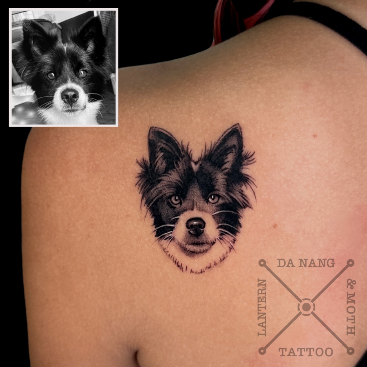 Mini-pet-portrait-at-Da-Nang-tattoo-studio-Lantern-and-Moth-Tatoo