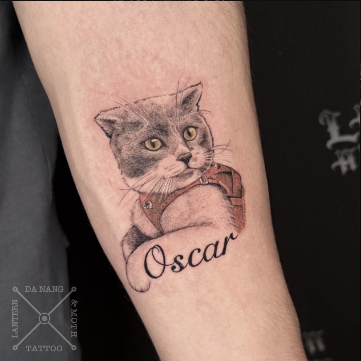Cat-portrait-design-Da-Nang-tattoo-shop-Lantern-and-Moth
