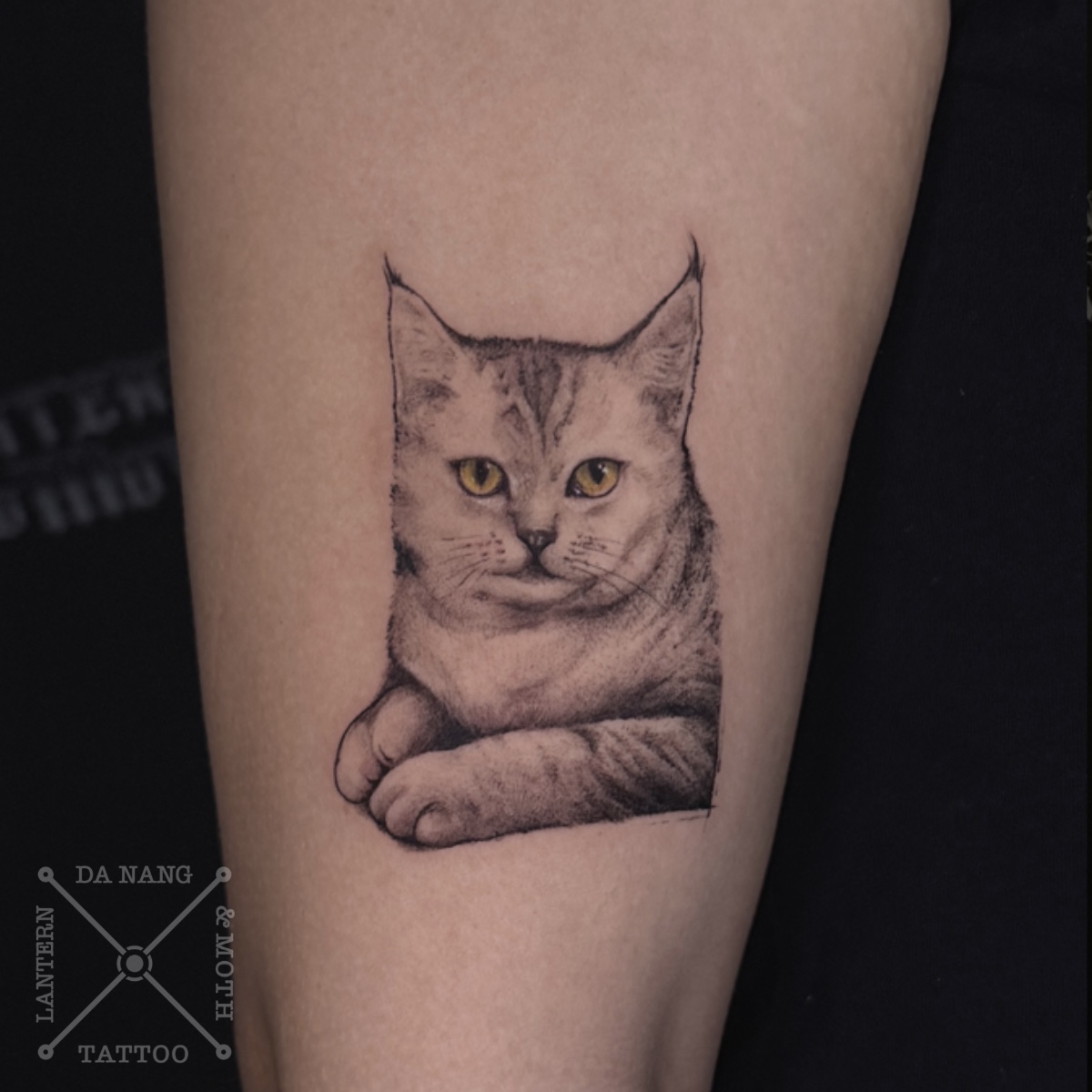 Cat-portrait-design-Da-Nang-tattoo-studio-Lantern-and-Moth