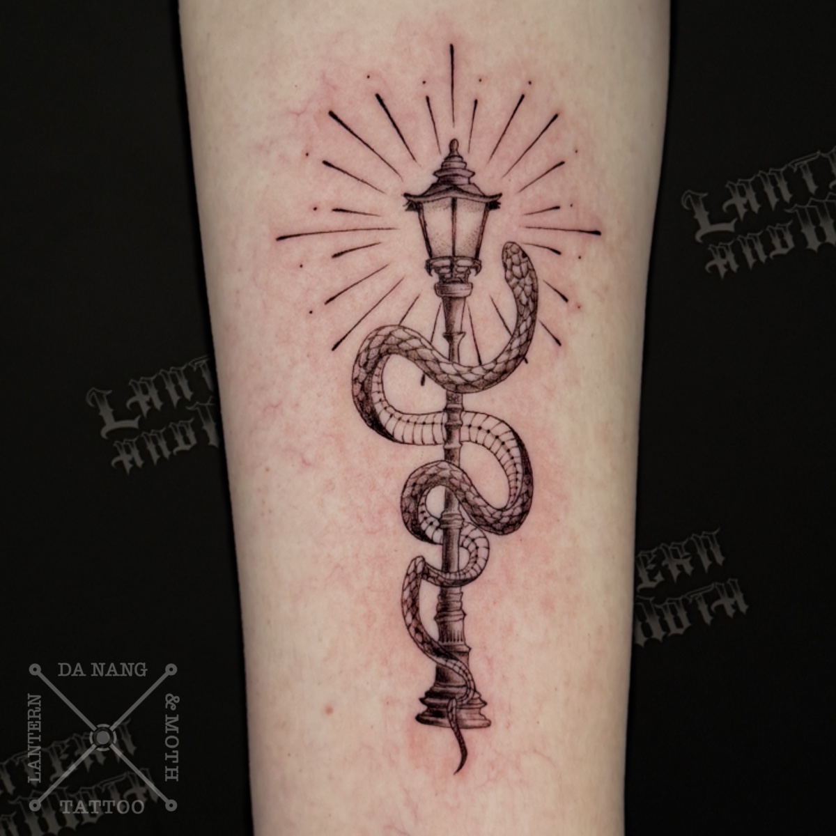 Fine-line-snake-design-Da-Nang-tattoo-studio-Lantern-and-Moth.jpg