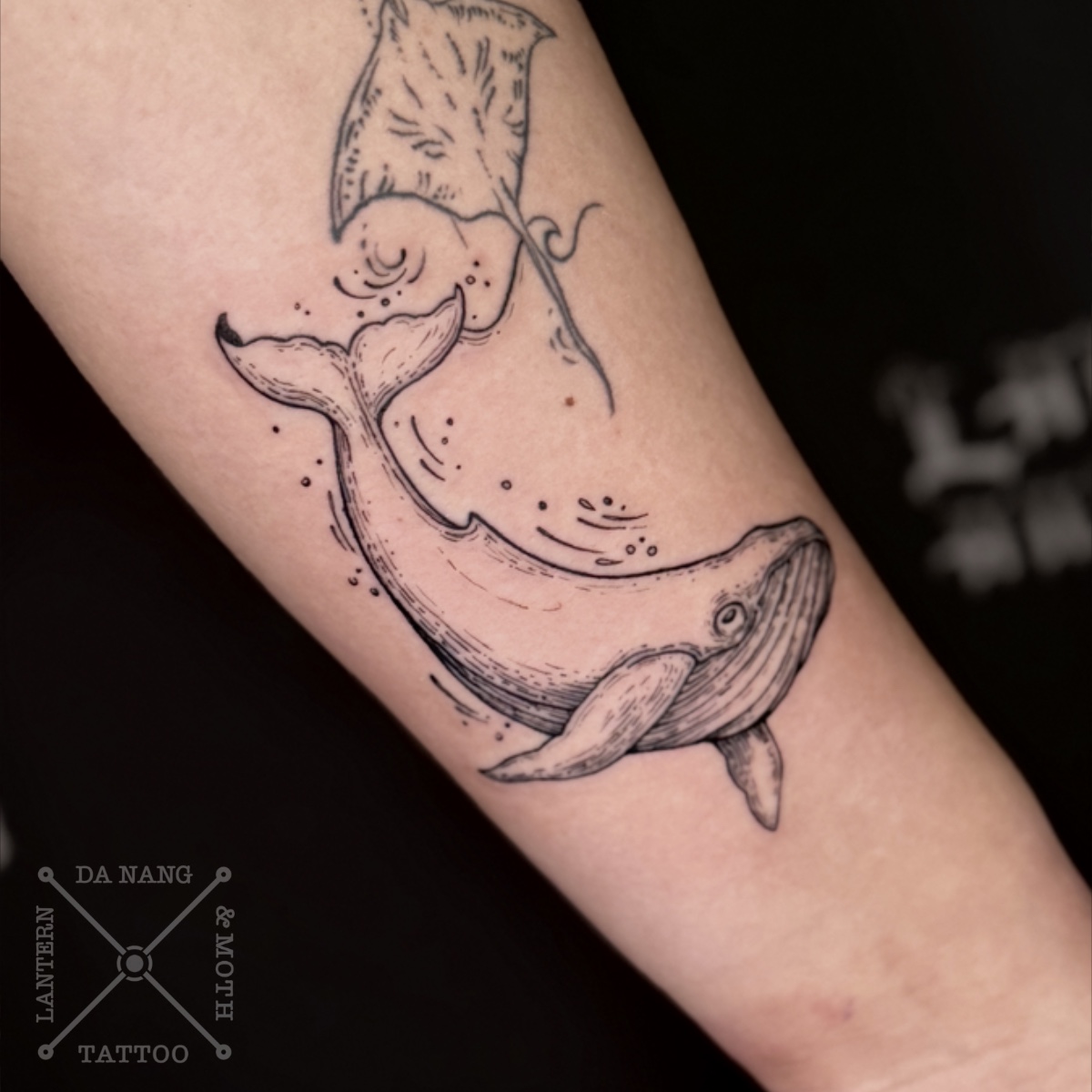 Fineline-whale-design-Danang-tatt--studio-Lantern-and_Moth