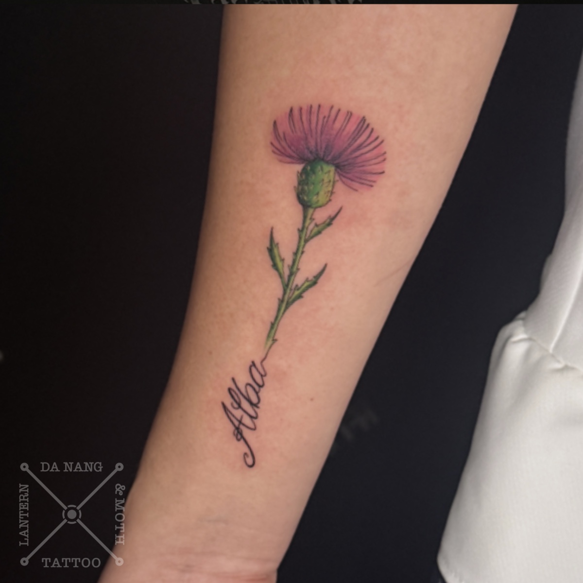 Scottish-thistle-design-Danang-tattoo-studio-Lantern-and-Moth.jpg