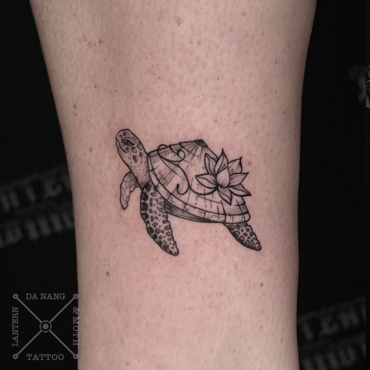 Turtle-design-Da-Nang-tattoo-studio_-Lantern-and-Moth.jpg