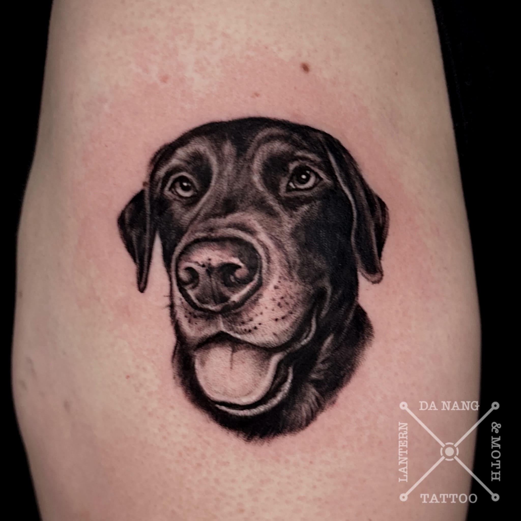 black-dog-portrait-design-danang-tattoo-studio-lantern-and-moth.
