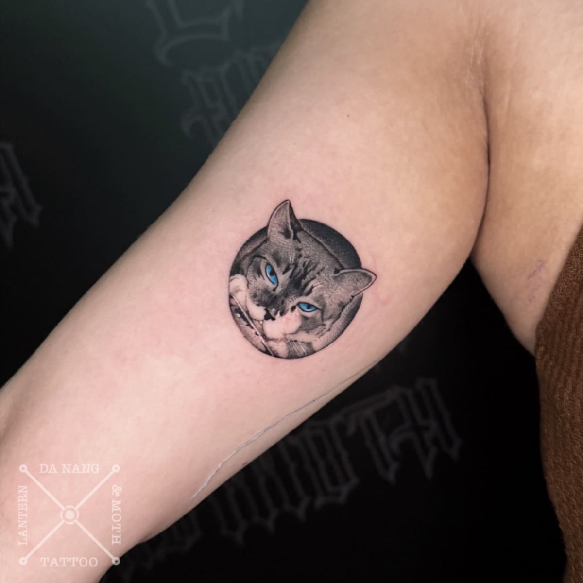 colour-mini-cat-portrait-design-danang-tattoo-shop-lantern-and-moth.