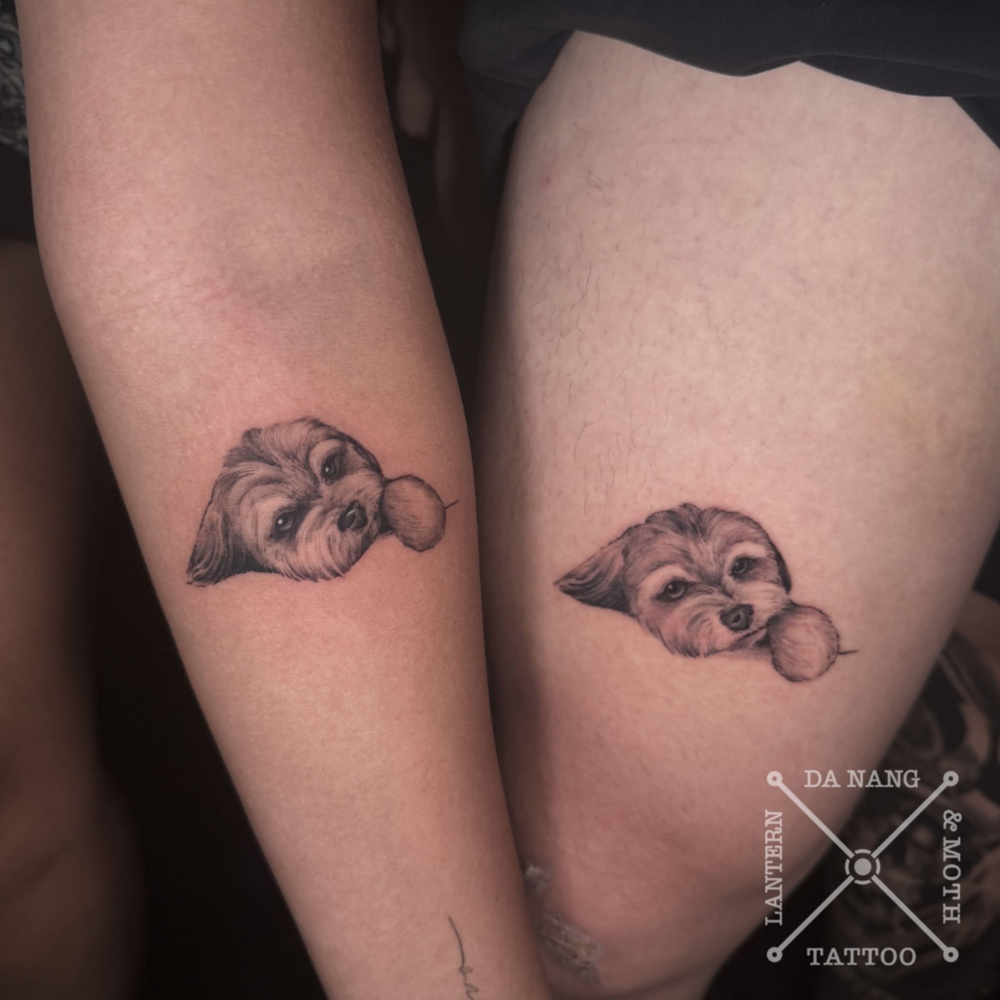 matching-pet-portraits-designs-da-nang-tattoo-shop-lantern-and-moth.