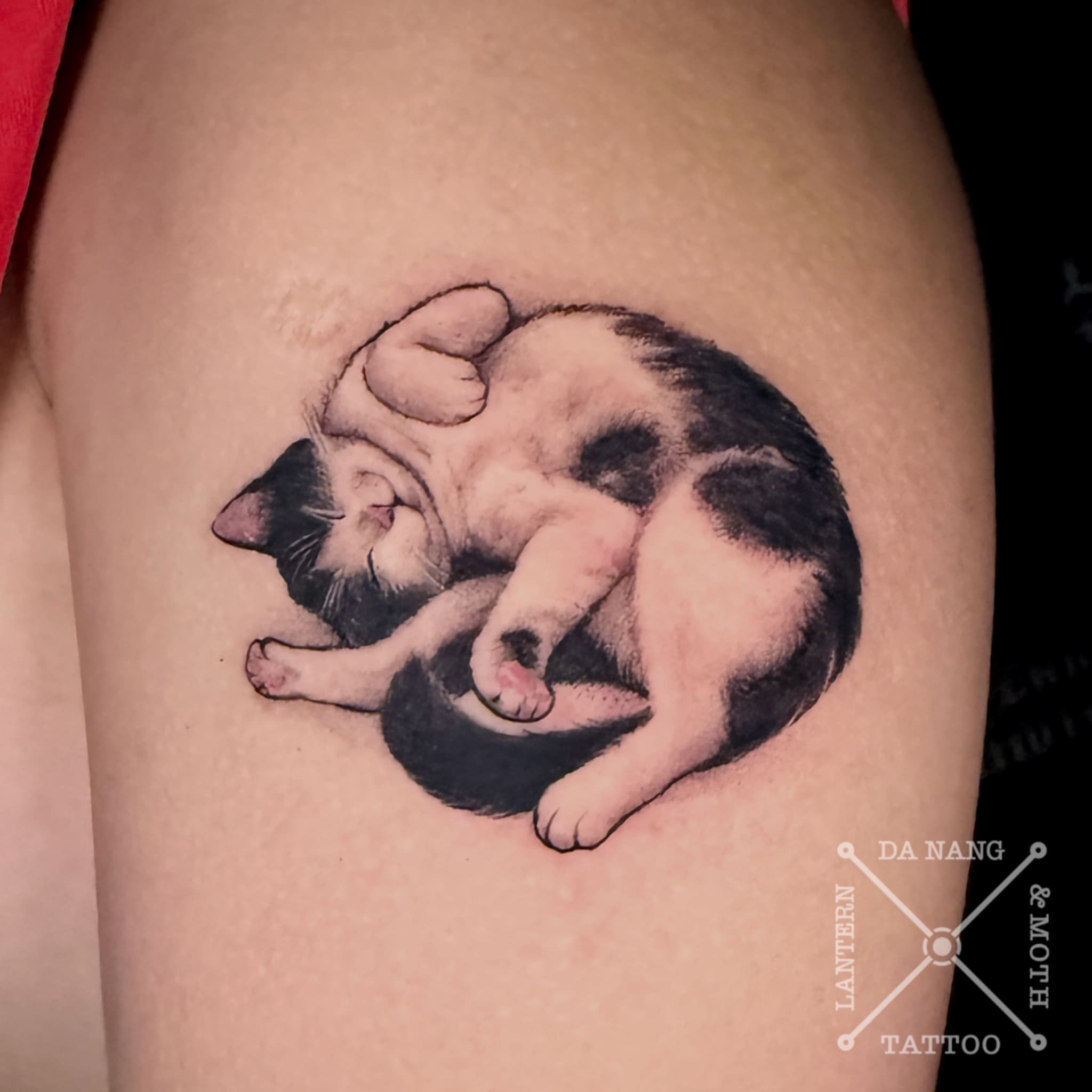 pet-cat-design-danang-tattoo-studio-lantern-and-moth.