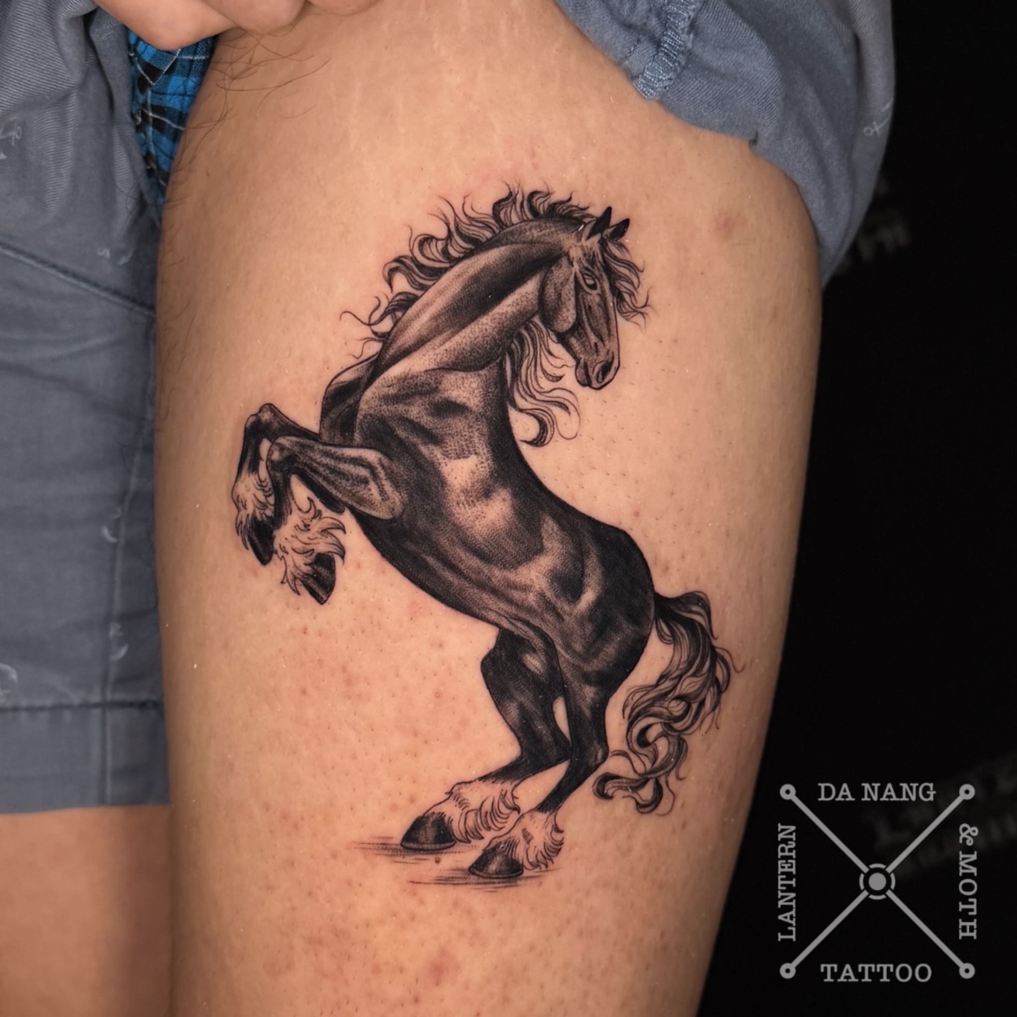 stallion-design-da-nang-tattoo-studio-lantern-and-moth.